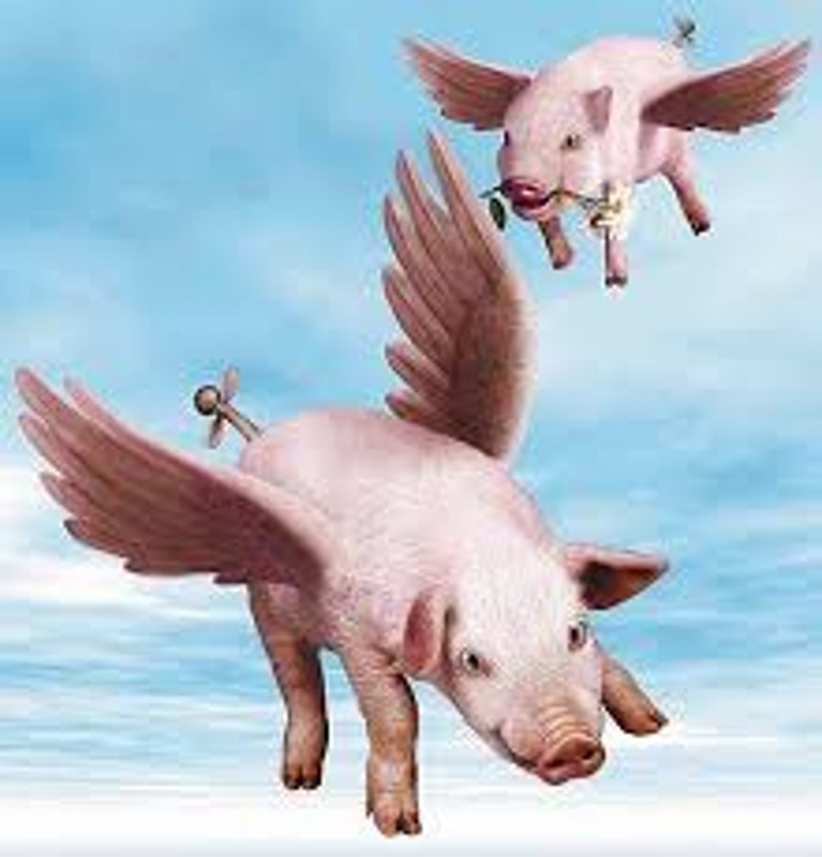 <p>Unusual or bizarre, difficult to accept or like (eccentric, strange)</p>