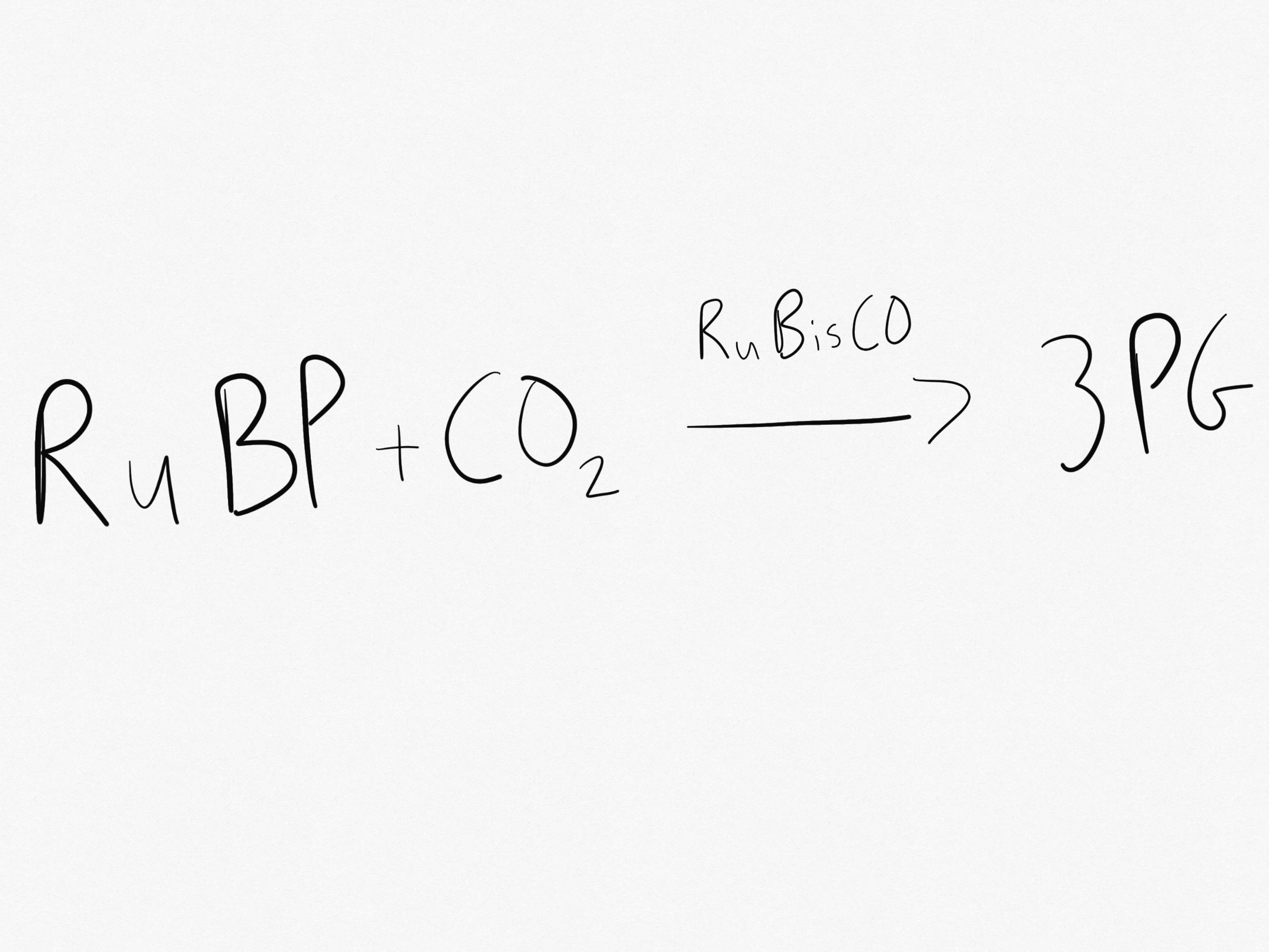 <p>Reaction 1 in Carbon Fixation;</p><p>The enzyme RuBisCO fixes CO<sub>2 </sub>by attaching it to RuBP. This produces 3PG.</p>