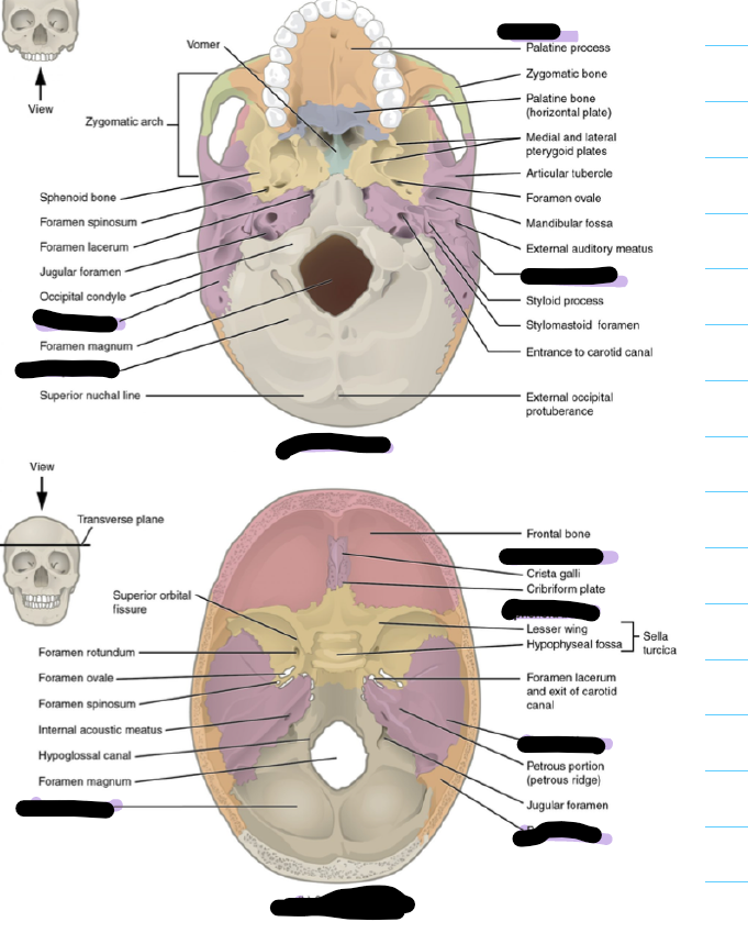 knowt flashcard image