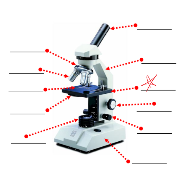 <p>this part of a microscope</p>