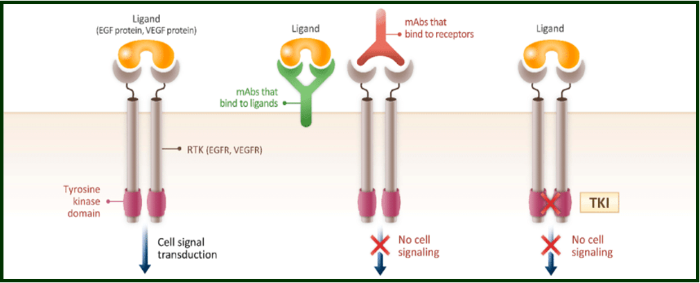 <p>what are limitations of TKI and mABs </p>