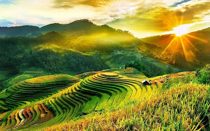 <p>ruộng bậc thang</p>