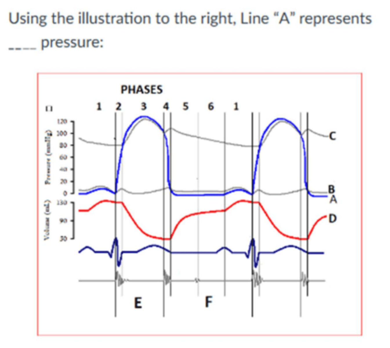 <p>Left ventricular</p>