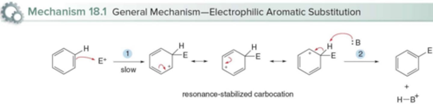 <p>1. Addition of the electrophile to form a resonance-stabilized carbocation; 2. Deprotonation with a base</p>
