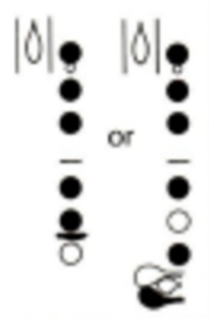 <p>Fingering</p>