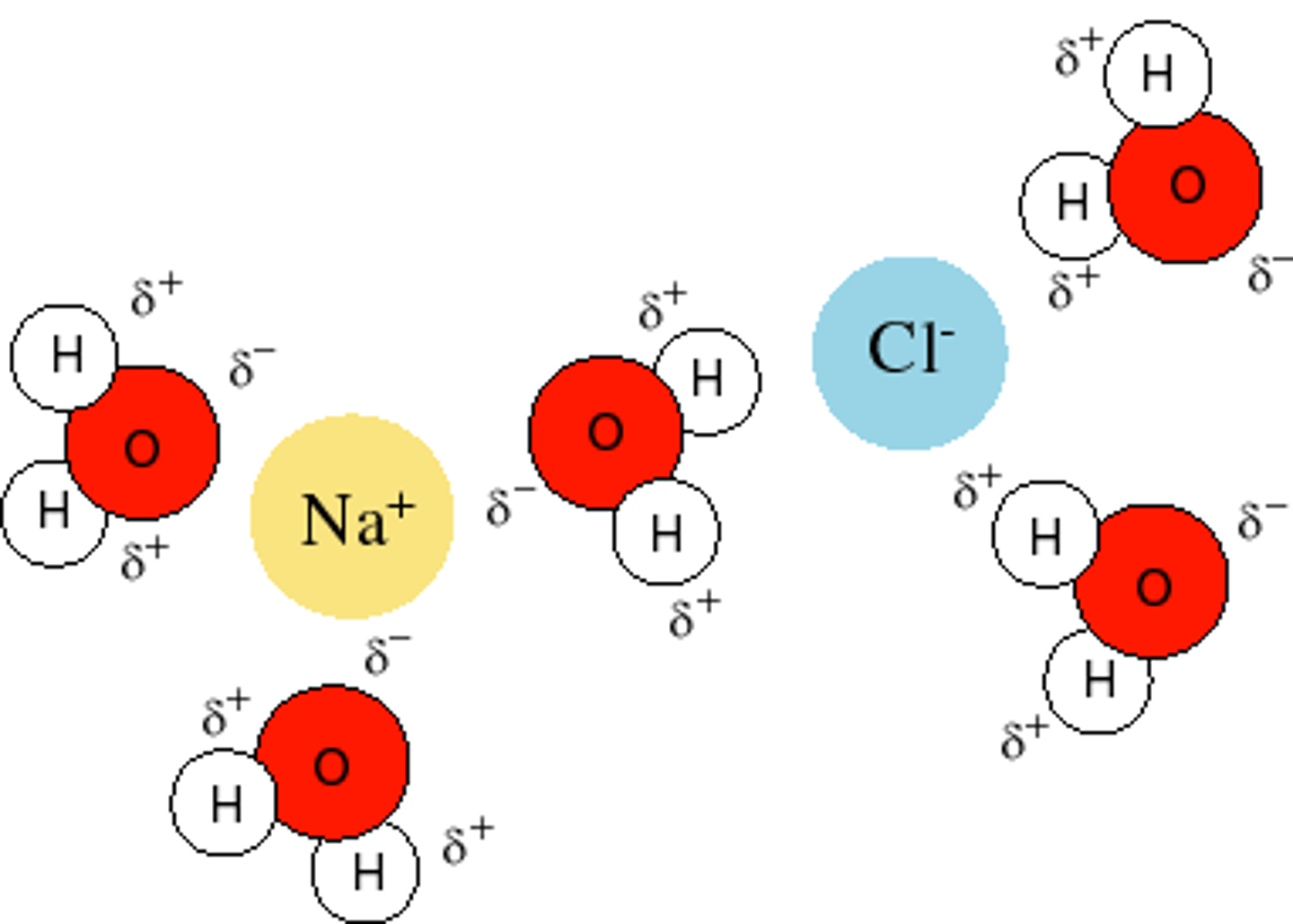 <p>The process of surrounding solute particles with solvent particles to form a solution.</p><p>Ex.</p><p>*As long as attraction between Na and O, or Cl and H is stronger than attraction of Na and Cl, then it will break apart (intermolecular forces)</p>