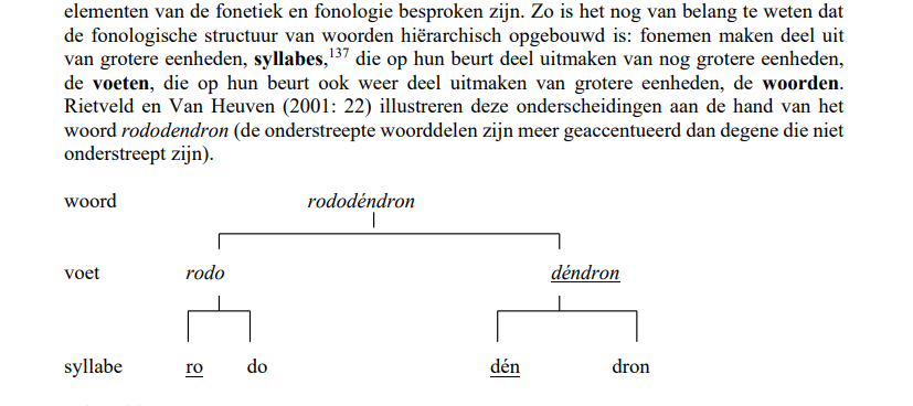 <p>Een syllabe is een lettergreep. Fonemen maken deel uit van de syllabes en de syllabes dan weer uiteen groter geheel.</p>