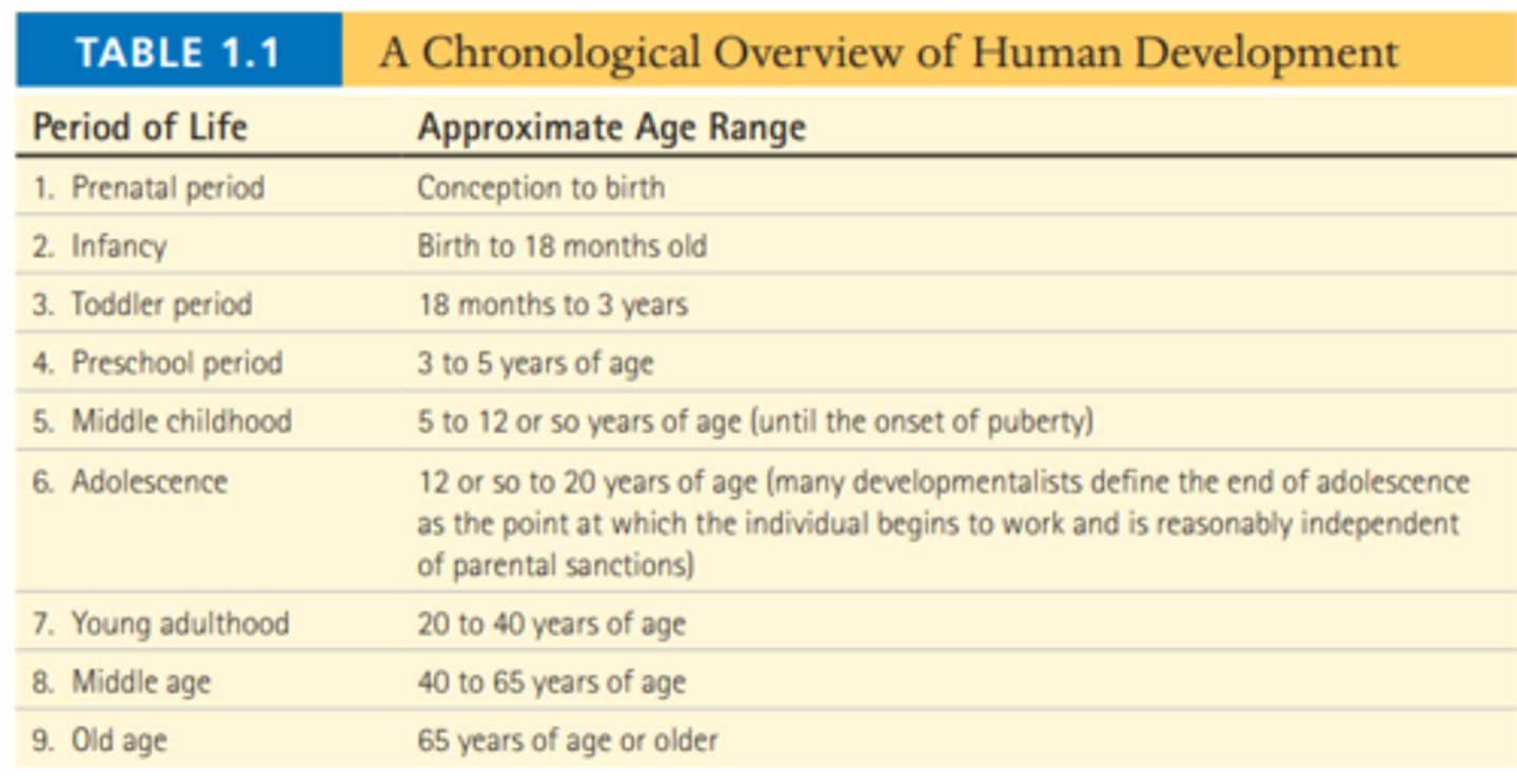 <p>the various periods of life (e.g., infancy, adolescence, middle age, old age) and the typical years of life these happen</p>