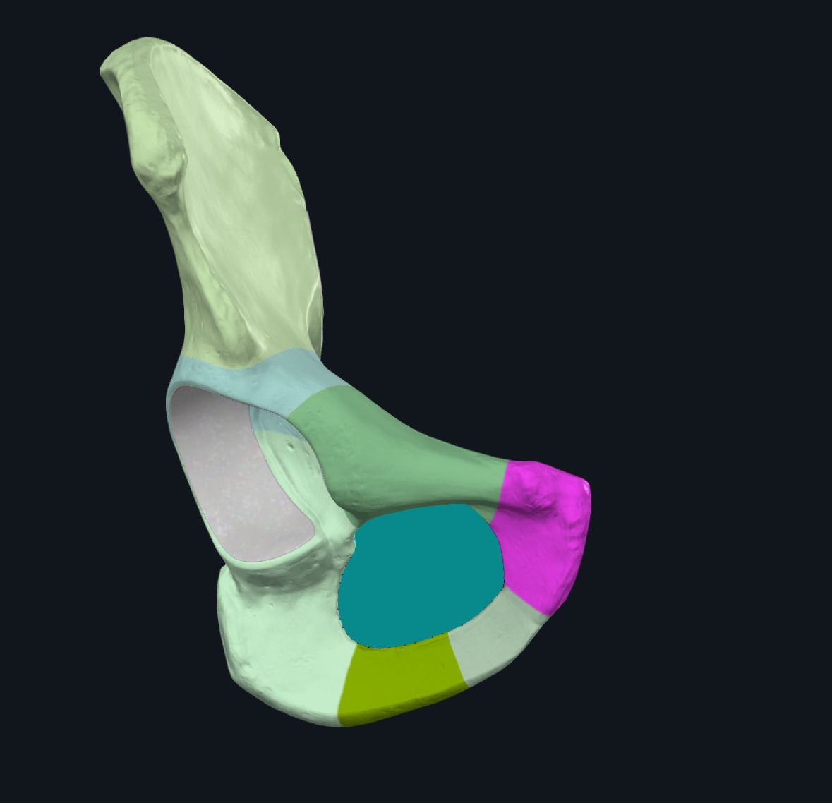 term image
