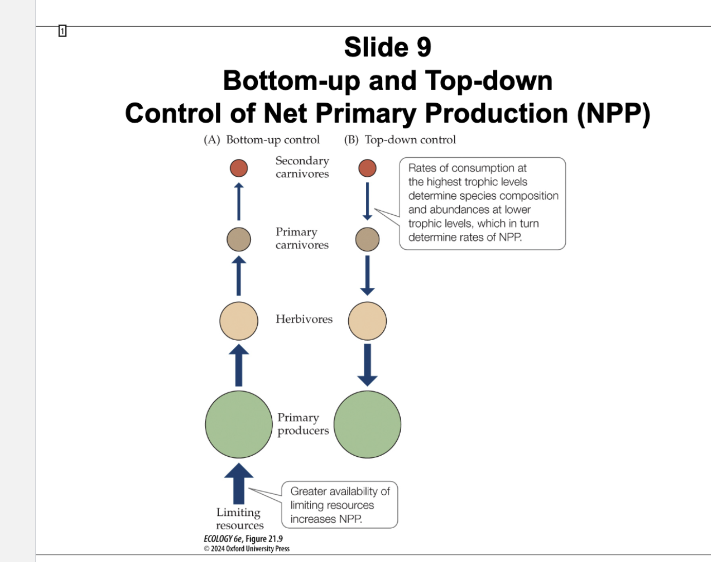 <p>Explain figure 21.9- Bottom Up and Top Down Control of NPP</p>