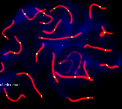 <p>bespreek wat we hier zien</p>