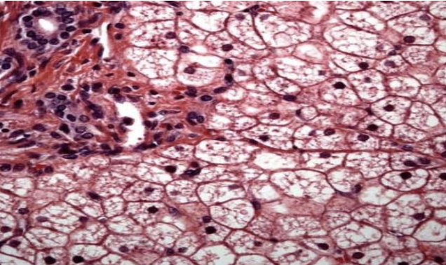 <p>what does the image show?</p>