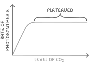 <p>Carbon Dioxide Concentration</p>