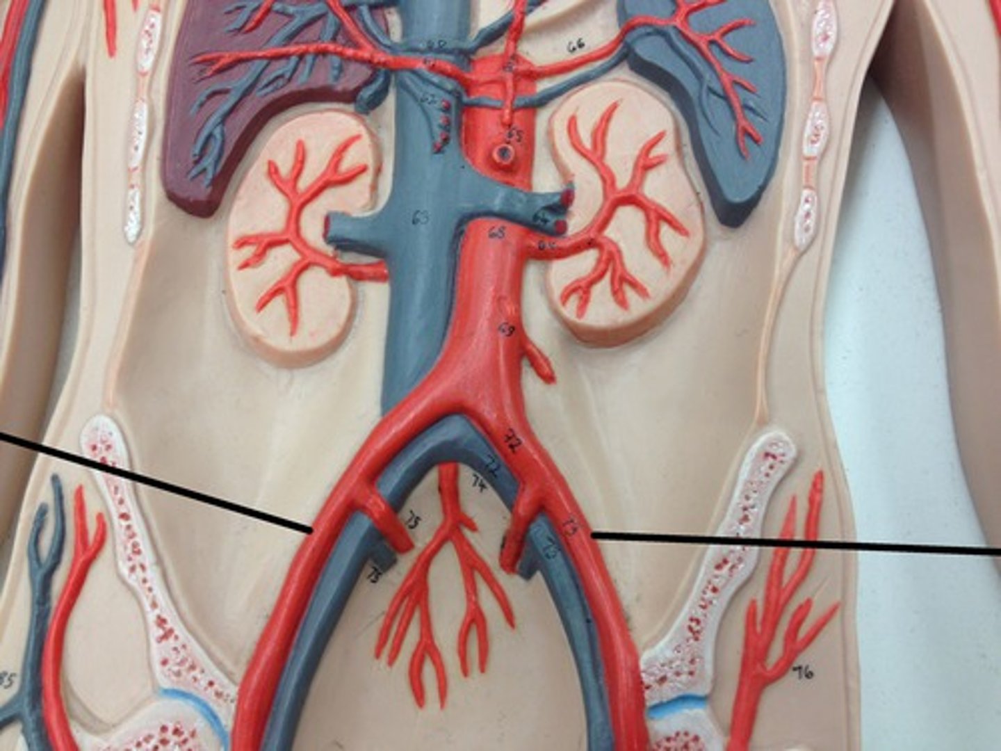 <p>What structure?</p>