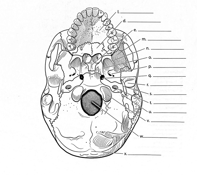 <p>ID → Jugular Foramen</p>