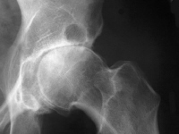 <p>what is this image?</p>