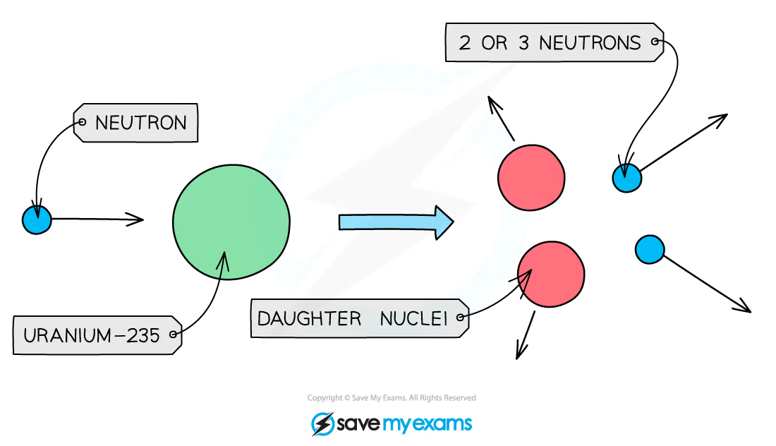 <p>a <strong>neutron</strong> collides with an unstable nucleus, the nucleus splits into <strong>two smaller nuclei</strong> (called daughter nuclei) as well as <strong>two or three neutrons</strong></p><ul><li><p>Gamma rays are also emitted</p></li></ul><p></p>