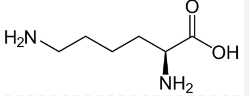 <p>What amino acid is this?</p>
