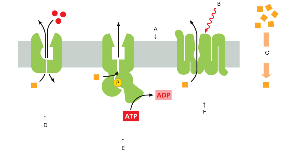 <p>What is F?</p>