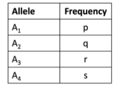 <p><span>You are studying a population of grasshoppers and you find four different alleles at the A gene, with frequencies shown in the table. Assuming the population is in Hardy-Weinberg equilibrium, the frequency of genotype A1A3 is _________ and the frequency for genotype A2A2 is ___________.</span></p>