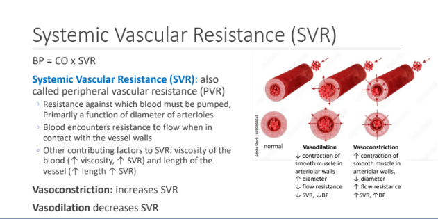 <p>Vasoconstriction: increases SVR</p><p>Vasodilation decreases SVR</p>