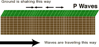 <p>primary/p-wave</p>