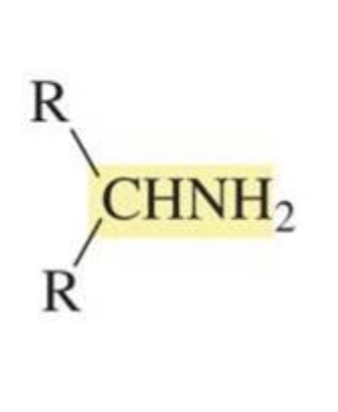 <p>Amine</p><p>(reductive amination)</p>