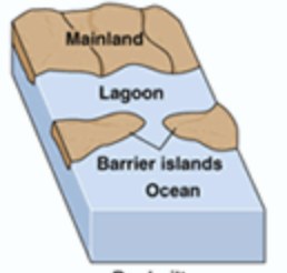 <p>a type of estuary formed when sandbars or barrier islands built up by ocean currents and waves create a barrier between the ocean and a river or stream mouth, partially enclosing the water behind them</p>