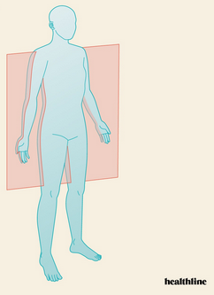 <p>Frontal (coronal) plane</p>