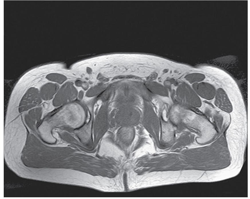 <p>What does this image show?</p>
