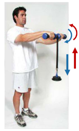 <p>This isotonic exercise is called what?</p>