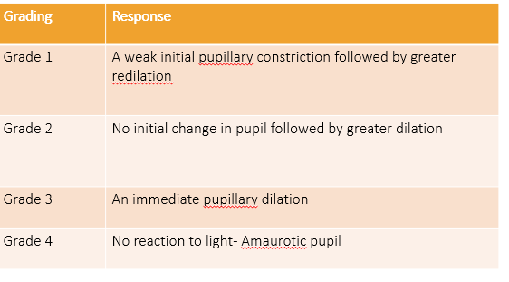 <p>Afferent Pupillary Defect(Marcus Gunn Pupil)</p>