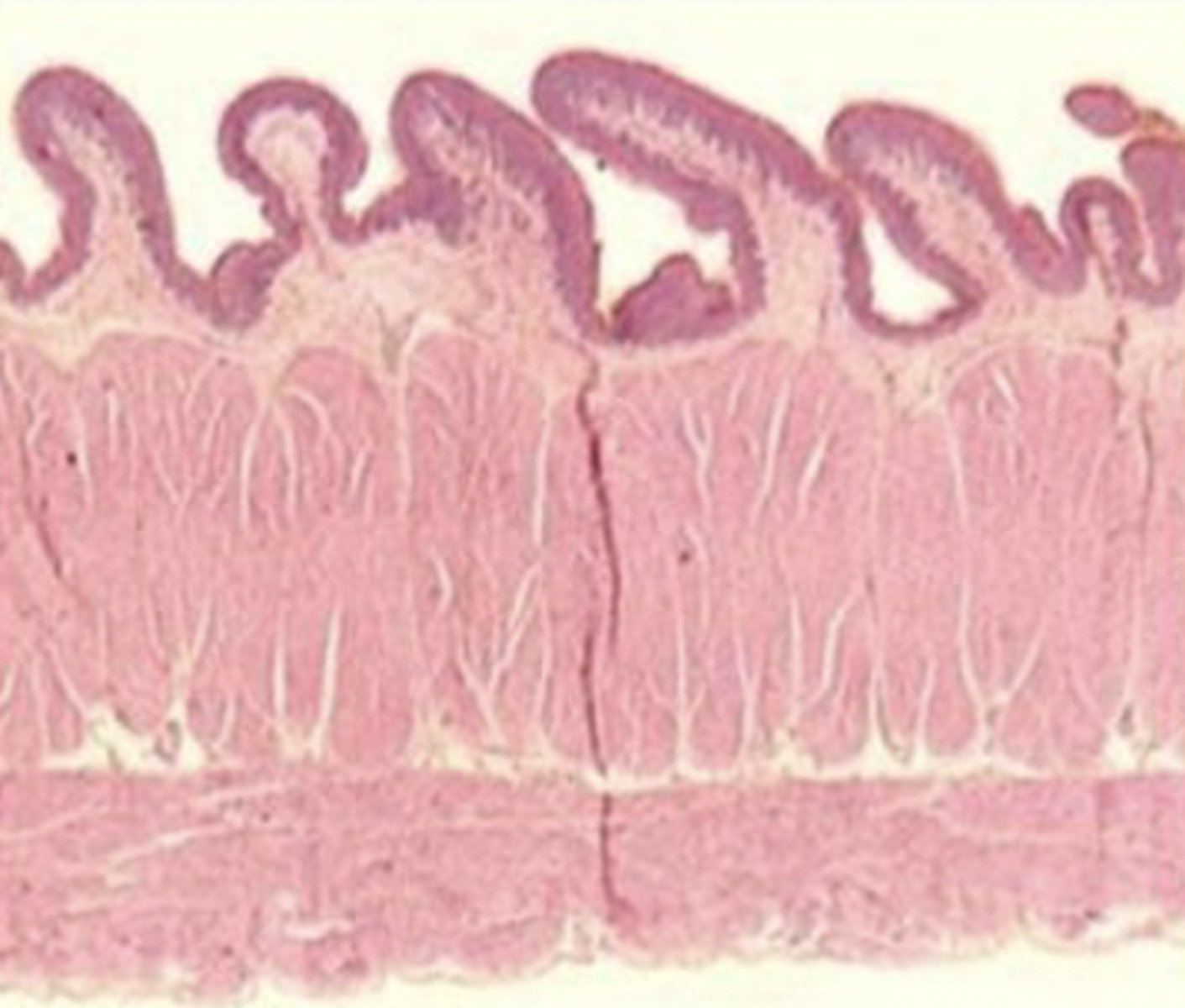 <p>what is this?</p>