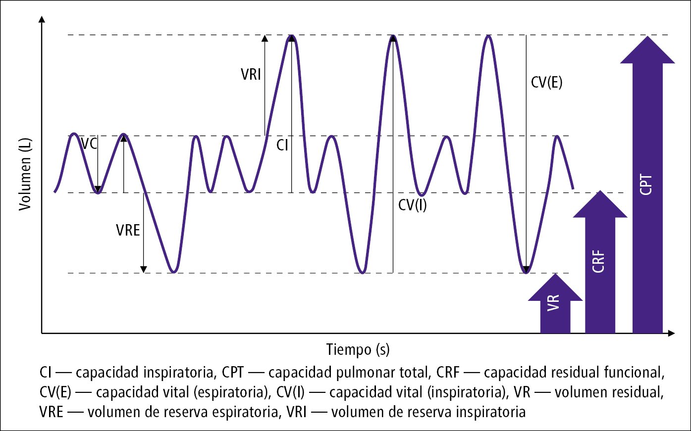 <p>La suma de todos los volúmenes pulmonares ⟶ <strong>CV + VR</strong>.</p>