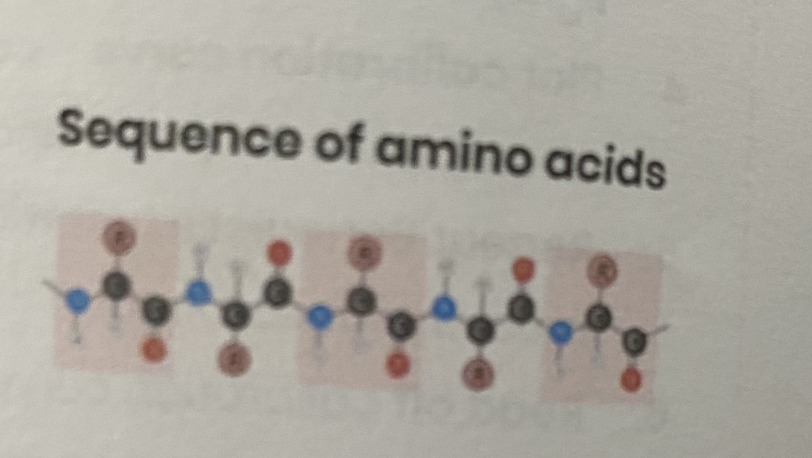 <p><strong>sequence</strong> of amino acids in a polypeptide chain, joined by peptide chain </p>
