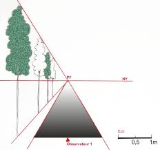 <p><span>Technique artistique qui utilise des lignes convergentes vers un ou plusieurs points de fuite pour créer l'illusion de profondeur et de distance sur une surface plane</span></p>