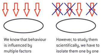 <p>View the big picture vs. divide explanations into parts</p>