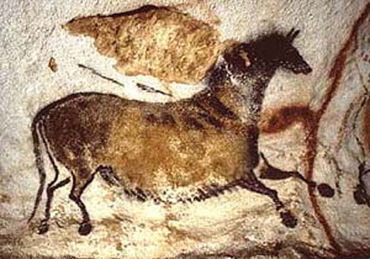 <p>Identify</p>