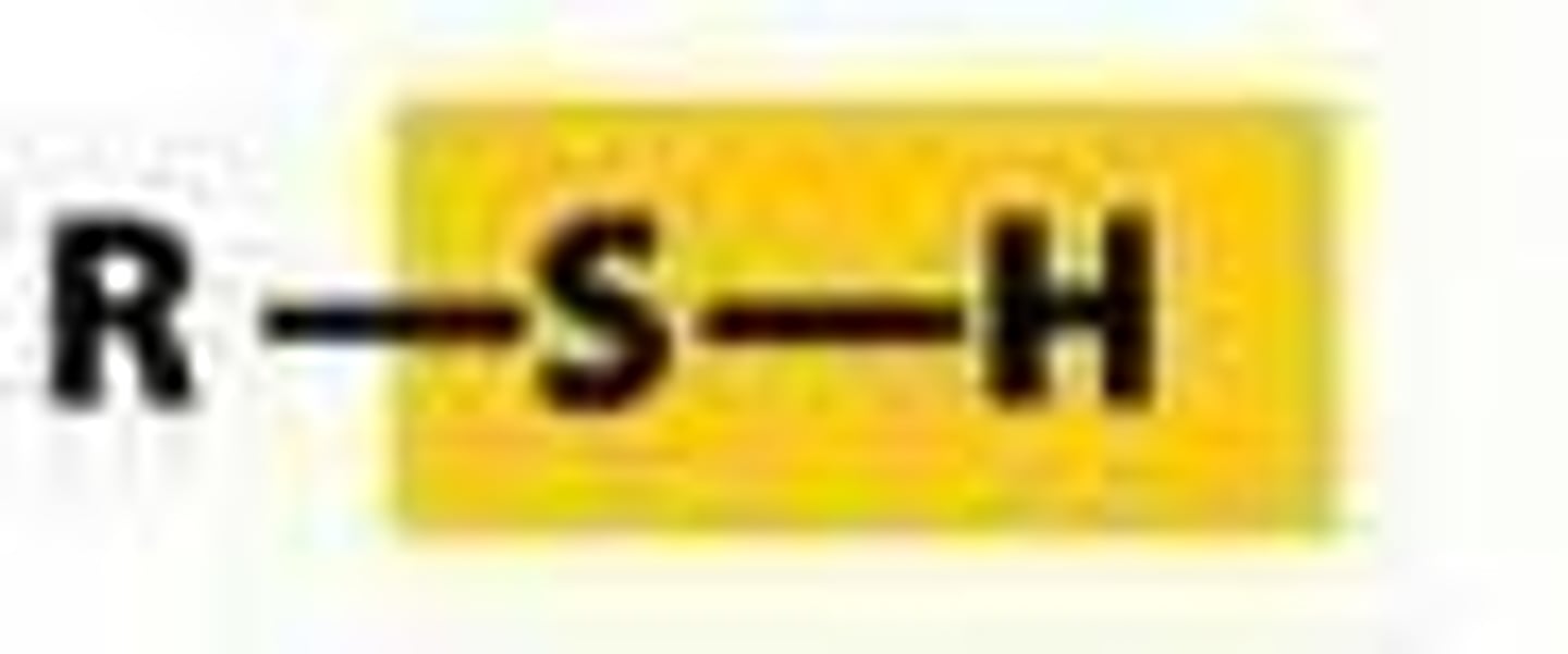 <p>-an R group bonded to an SH</p>