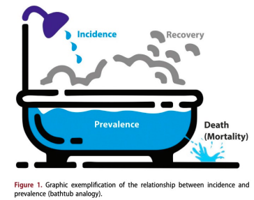 <p>in a stable population (where rates do not change and in and out migration are equal)</p><p><strong>prevalence = incidence x duration of disease</strong></p><p>duration of disease determined by mortality and recovery</p>