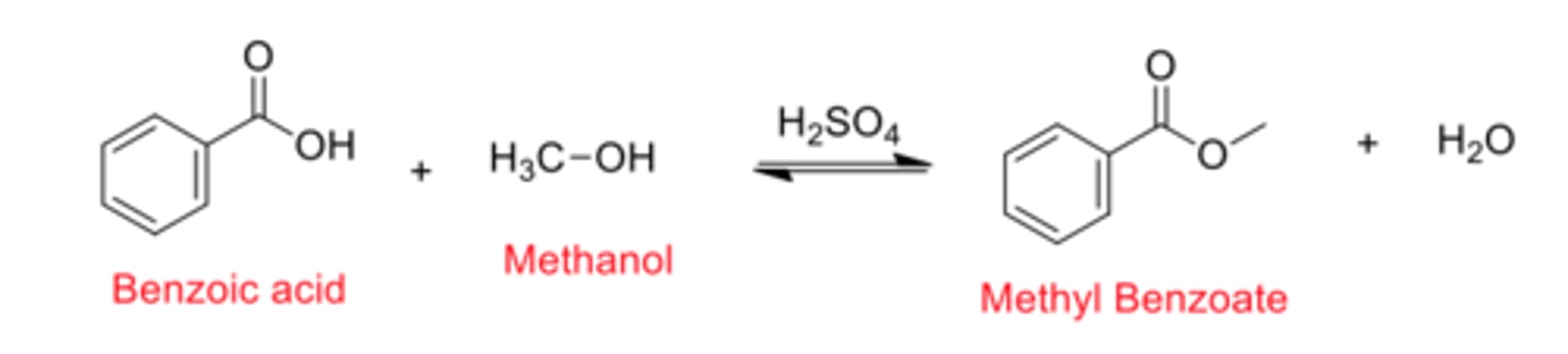 <p>PART 1:</p><p>Benzoic acid + methanol → (H₂SO₄ catalyst) → methyl benzoate + H₂O</p><p>PART 2:</p><p>Methyl benzoate + (1) 3 NaOH (2) H₃O⁺→ benzoic acid + methanol</p><p>GOAL:</p><p>- Analyze each product to see whether we achieved a high yield in both directions</p>