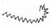 <p>Type of spirochete genus that is <strong>less tightly coiled</strong> with <strong>sharp hook like bends</strong> at the ends of the cell</p>