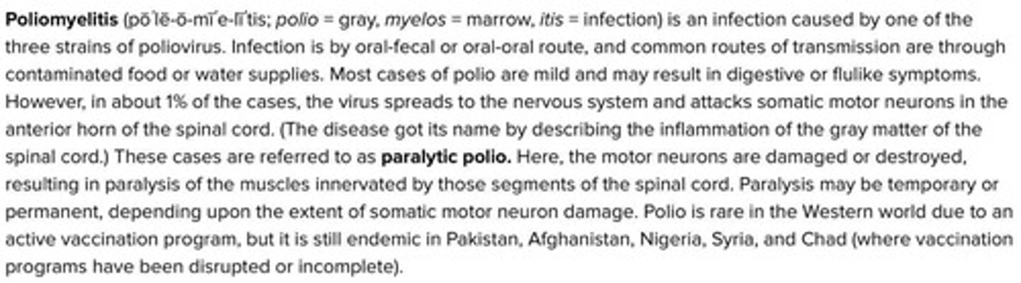 <p>Regulates substances entering the brain from capillaries</p>