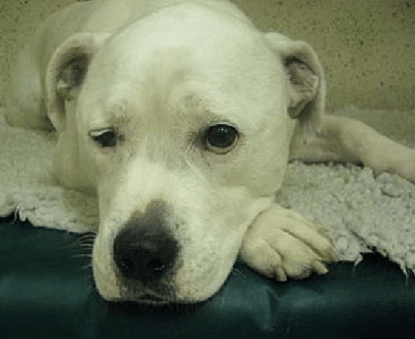 <p>what is the word for this problem?</p>