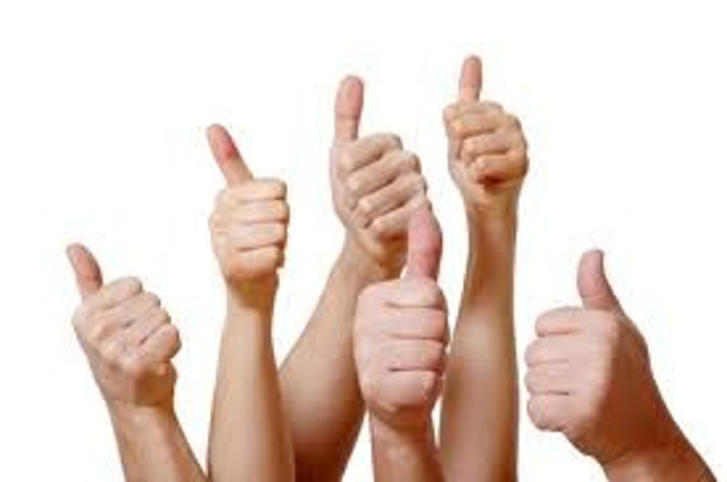<p>support</p>