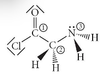 <p><span style="color: rgb(254, 254, 254);"><span>Consider the molecule below. Determine the hybridization at each of the 3 labeled atoms</span></span></p><p><span style="color: rgb(254, 254, 254);"><span>A) 1=sp3, 2=sp3, 3=sp3</span></span></p><p><span style="color: rgb(254, 254, 254);"><span>B) 1=sp3, 2=sp3, 3=sp2</span></span></p><p><span style="color: rgb(254, 254, 254);"><span>C) 1=sp2, 2=sp3, 3=sp2</span></span></p><p><span style="color: rgb(254, 254, 254);"><span>D) 1=sp, 2=sp2, 3=sp3</span></span></p><p><span style="color: rgb(254, 254, 254);"><span>E) 1=sp2, 2=sp3, 3=sp3</span></span></p>