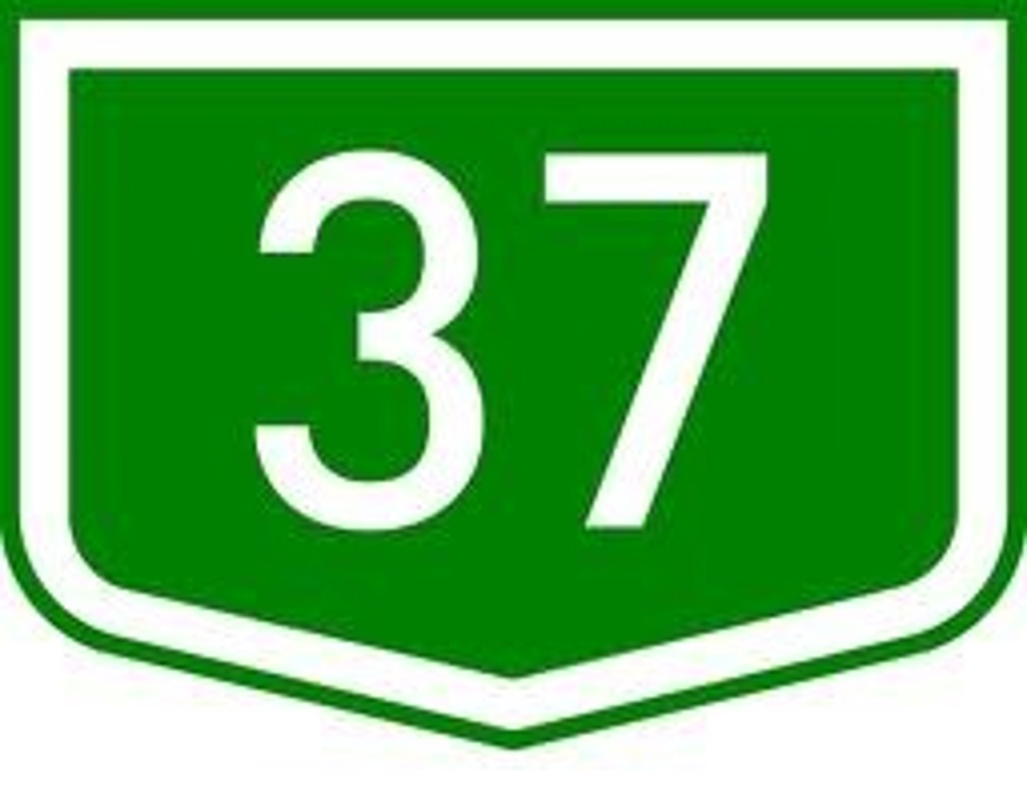 <p>37</p>