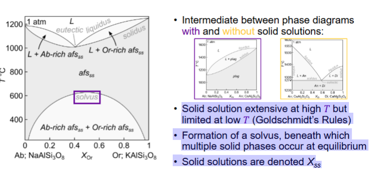 <p>A <strong>solid solution</strong> is a <strong>single solid phase</strong> in which atoms of one element (or ion) can <strong>substitute for</strong> or <strong>mix with</strong> atoms of another within the same crystal lattice</p><p></p>