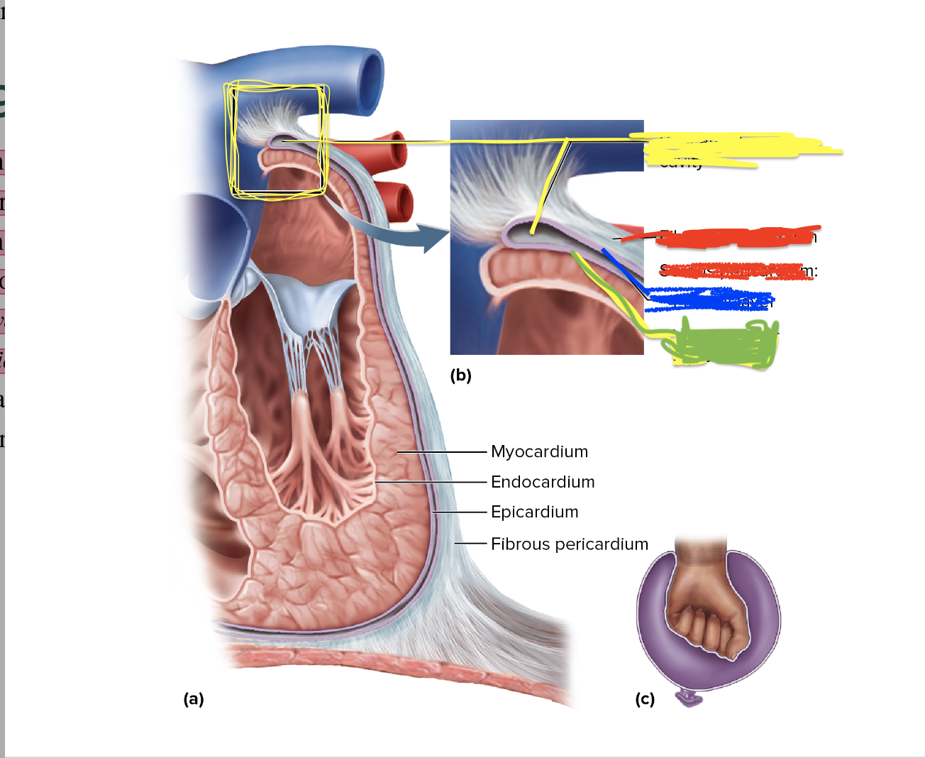  What is the blue depicting?