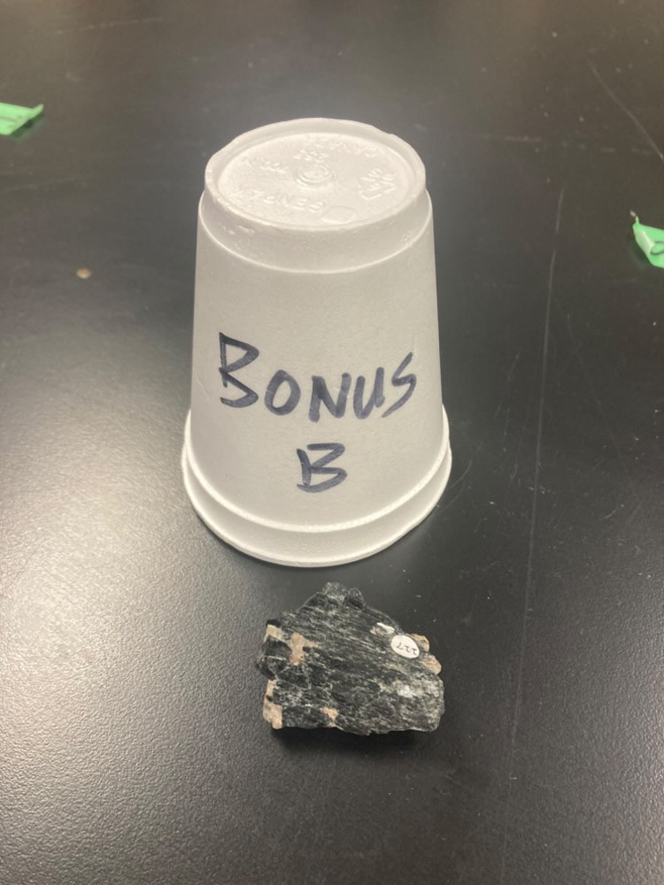 <p>BONUS B</p>